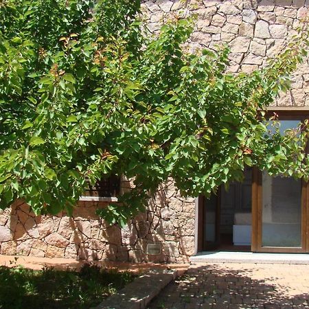 Ferienwohnung Bella Casa Con Giardino A 10 Minuti Dal Mare Aglientu Exterior foto