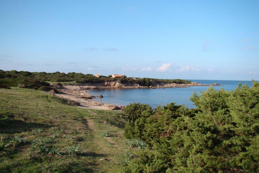 Ferienwohnung Bella Casa Con Giardino A 10 Minuti Dal Mare Aglientu Exterior foto